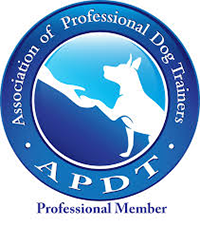 APDT website home page